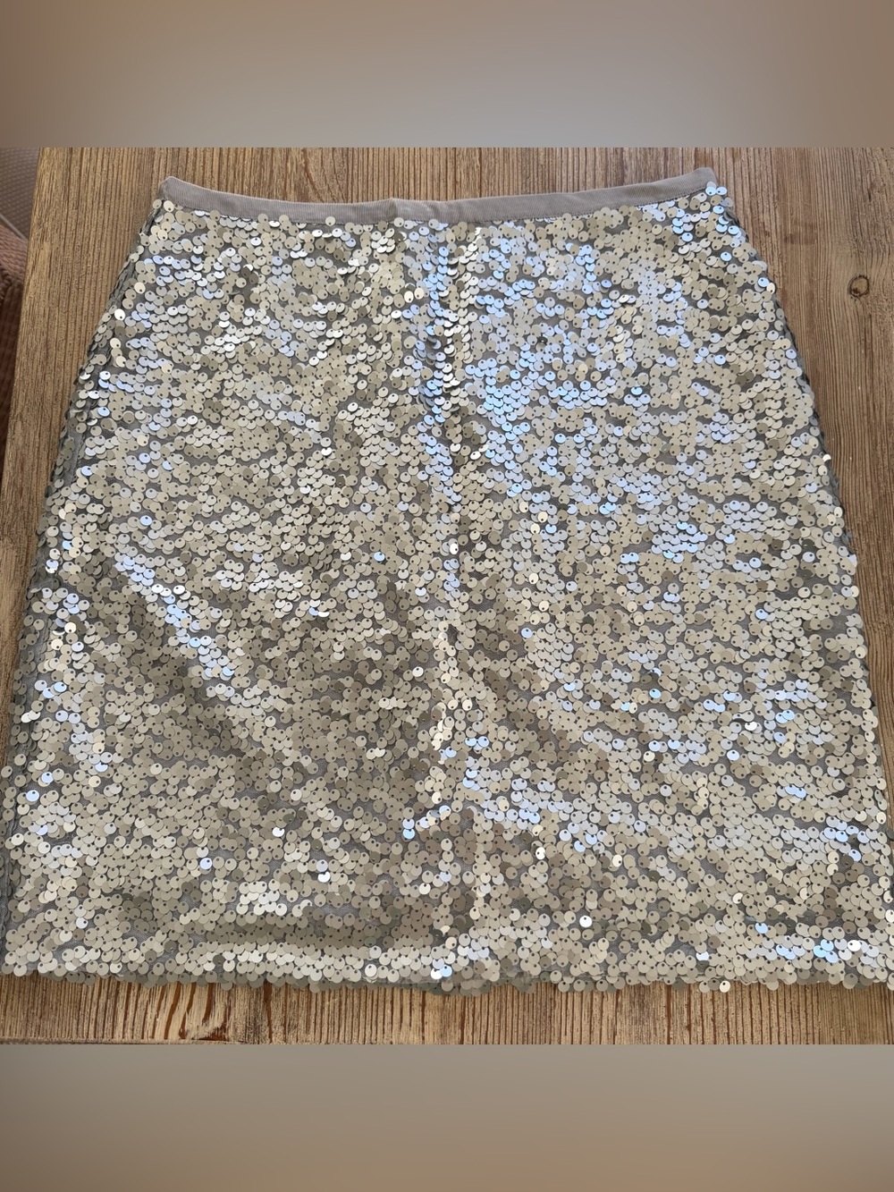 Jcrew Silver Sequin Mini Skirt